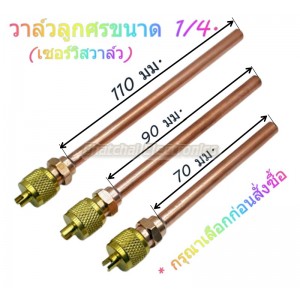 /shop/1889-10004-thickbox/service-valve.jpg